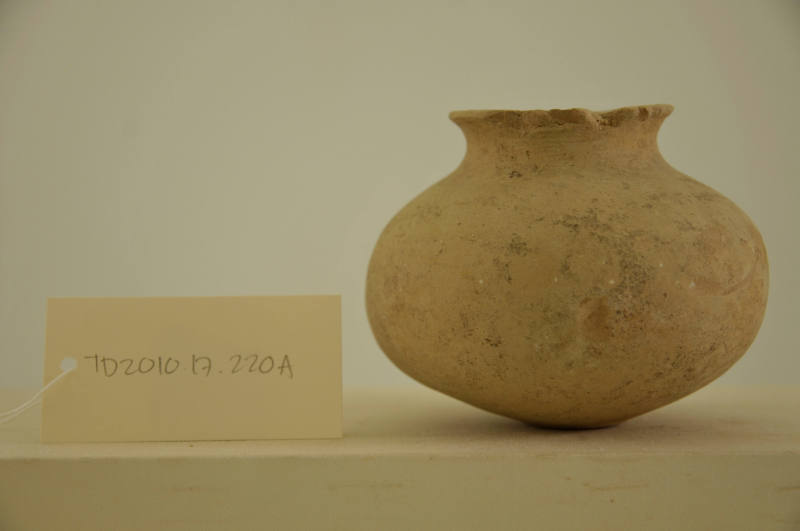 © Michael C. Carlos Museum, Emory University