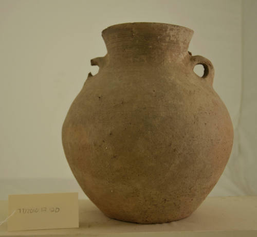 © Michael C. Carlos Museum, Emory University