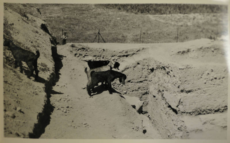 © Michael C. Carlos Museum, Emory University