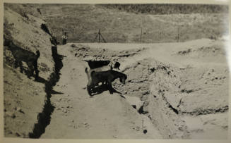 © Michael C. Carlos Museum, Emory University