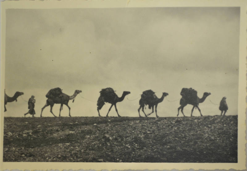 © Michael C. Carlos Museum, Emory University