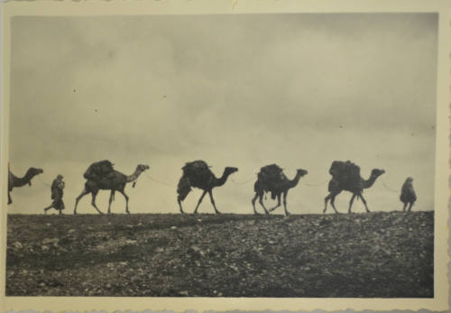 © Michael C. Carlos Museum, Emory University