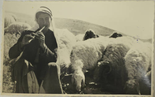 © Michael C. Carlos Museum, Emory University