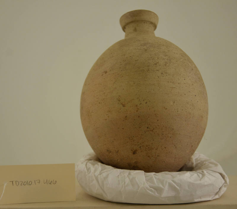 © Michael C. Carlos Museum, Emory University