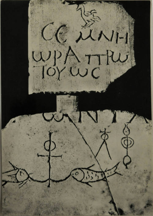 © Michael C. Carlos Museum, Emory University
