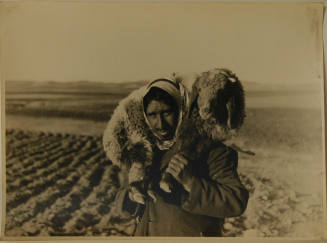 © Michael C. Carlos Museum, Emory University