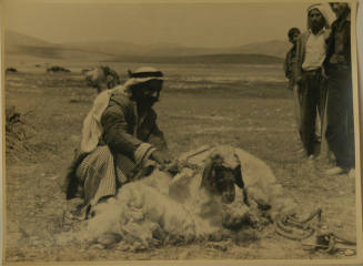 © Michael C. Carlos Museum, Emory University