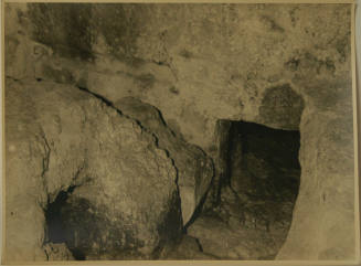 © Michael C. Carlos Museum, Emory University