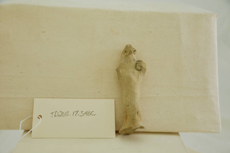 © Michael C. Carlos Museum, Emory University 