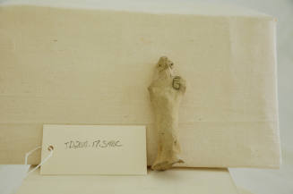 © Michael C. Carlos Museum, Emory University 