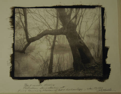 © John McWilliams.  Image courtesy Michael C. Carlos Museum, Emory University