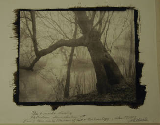 © John McWilliams.  Image courtesy Michael C. Carlos Museum, Emory University