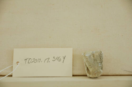 © Michael C. Carlos Museum, Emory University 