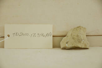 © Michael C. Carlos Museum, Emory University 