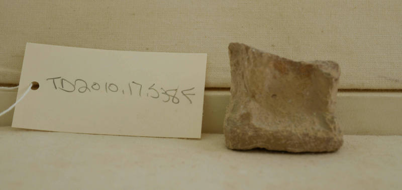 © Michael C. Carlos Museum, Emory University