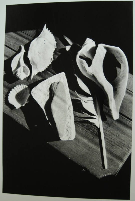 © Ralph Gibson.  Image courtesy Michael C. Carlos Museum, Emory University.