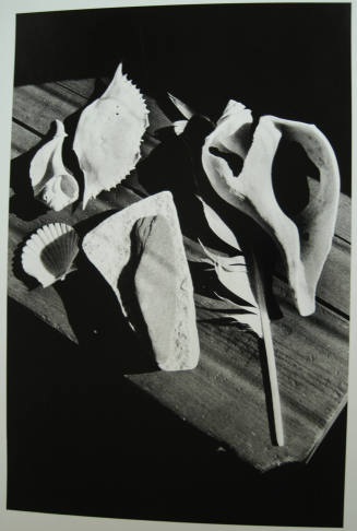 © Ralph Gibson.  Image courtesy Michael C. Carlos Museum, Emory University.