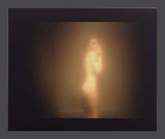 © Nan Goldin.  Image © Bruce M. White, 2010.