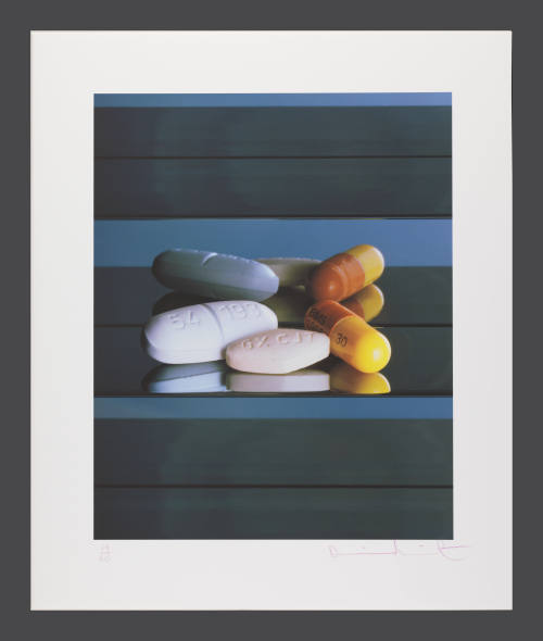 © Damien Hirst.  Image © Bruce M. White, 2010.