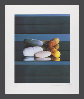 © Damien Hirst.  Image © Bruce M. White, 2010.