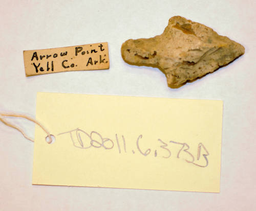 © Michael C. Carlos Museum, Emory University