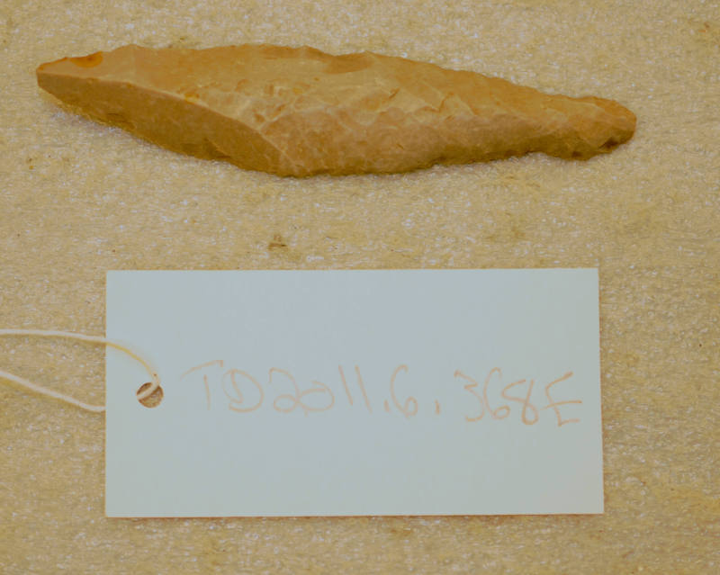 © Michael C. Carlos Museum, Emory University