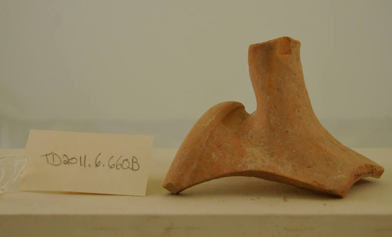 © Michael C. Carlos Museum, Emory University 