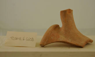 © Michael C. Carlos Museum, Emory University 