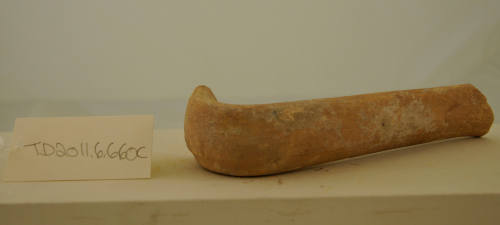 © Michael C. Carlos Museum, Emory University 