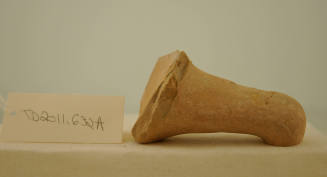 © Michael C. Carlos Museum, Emory University 