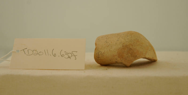 © Michael C. Carlos Museum, Emory University 