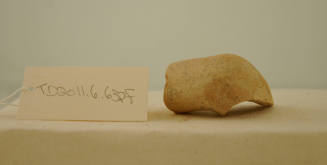 © Michael C. Carlos Museum, Emory University 