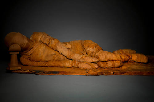 © Michael C. Carlos Museum, Emory University. Photo by Kay Hinton.