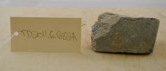 © Michael C. Carlos Museum, Emory University