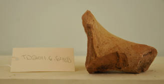 © Michael C. Carlos Museum, Emory University