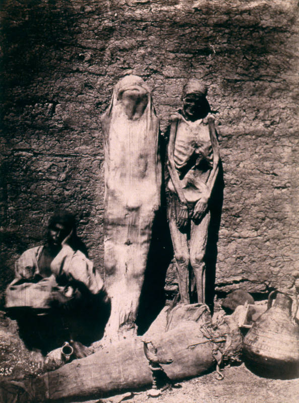 © Michael C. Carlos Museum, Emory University