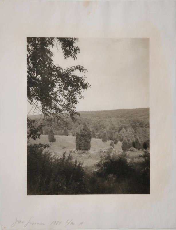 © Jan Groover.  Image courtesy Michael C. Carlos Museum, Emory University.