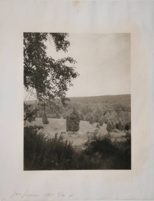 © Jan Groover.  Image courtesy Michael C. Carlos Museum, Emory University.