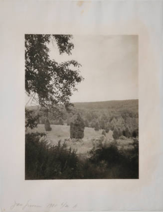 © Jan Groover.  Image courtesy Michael C. Carlos Museum, Emory University.