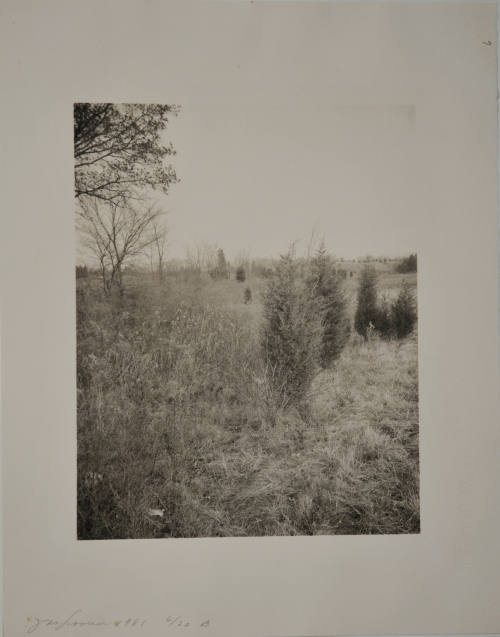 © Jan Groover.  Image courtesy Michael C. Carlos Museum, Emory University.