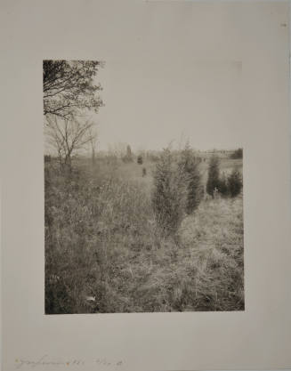 © Jan Groover.  Image courtesy Michael C. Carlos Museum, Emory University.