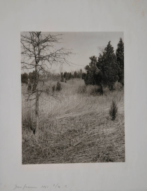 © Jan Groover.  Image courtesy Michael C. Carlos Museum, Emory University.