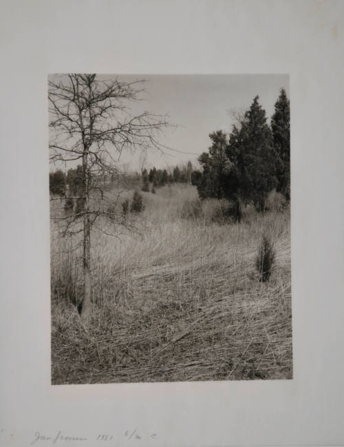 © Jan Groover.  Image courtesy Michael C. Carlos Museum, Emory University.