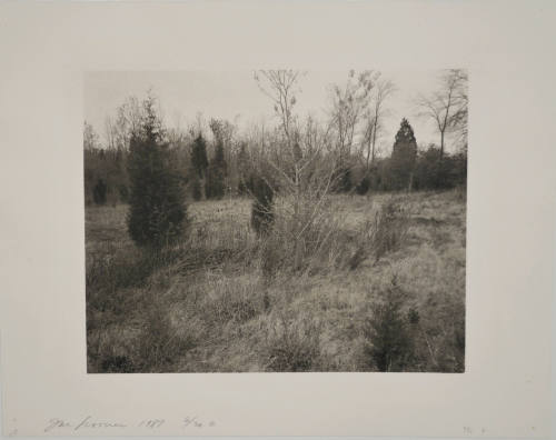© Jan Groover.  Image courtesy Michael C. Carlos Museum, Emory University.