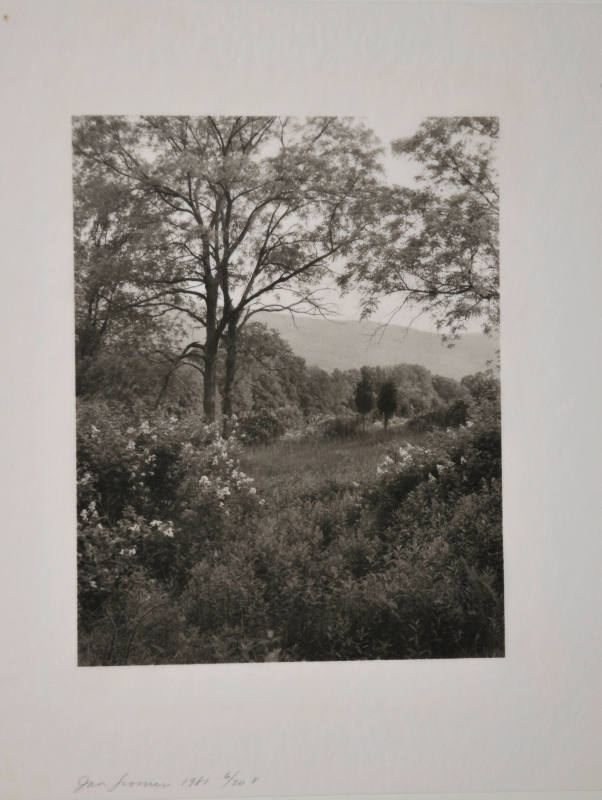 © Jan Groover.  Image courtesy Michael C. Carlos Museum, Emory University.