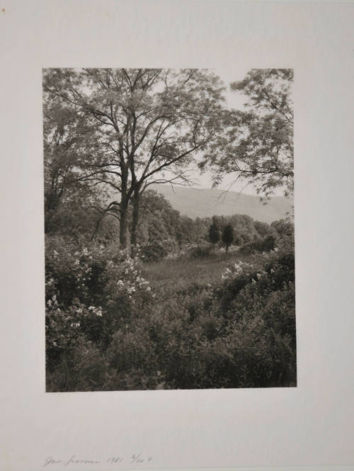 © Jan Groover.  Image courtesy Michael C. Carlos Museum, Emory University.