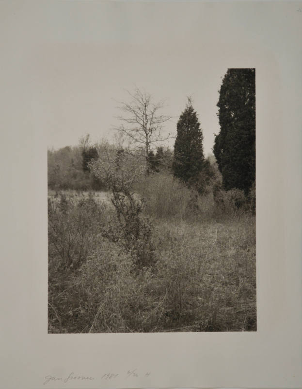© Jan Groover.  Image courtesy Michael C. Carlos Museum, Emory University.