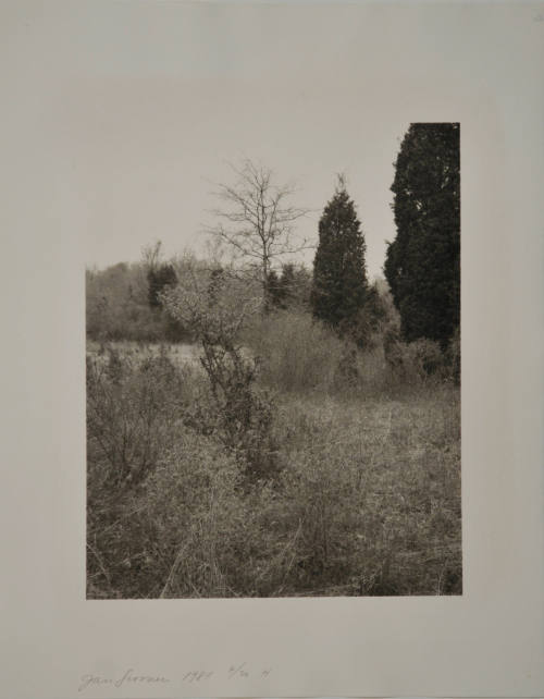 © Jan Groover.  Image courtesy Michael C. Carlos Museum, Emory University.