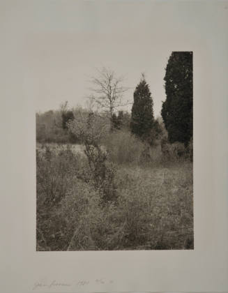 © Jan Groover.  Image courtesy Michael C. Carlos Museum, Emory University.