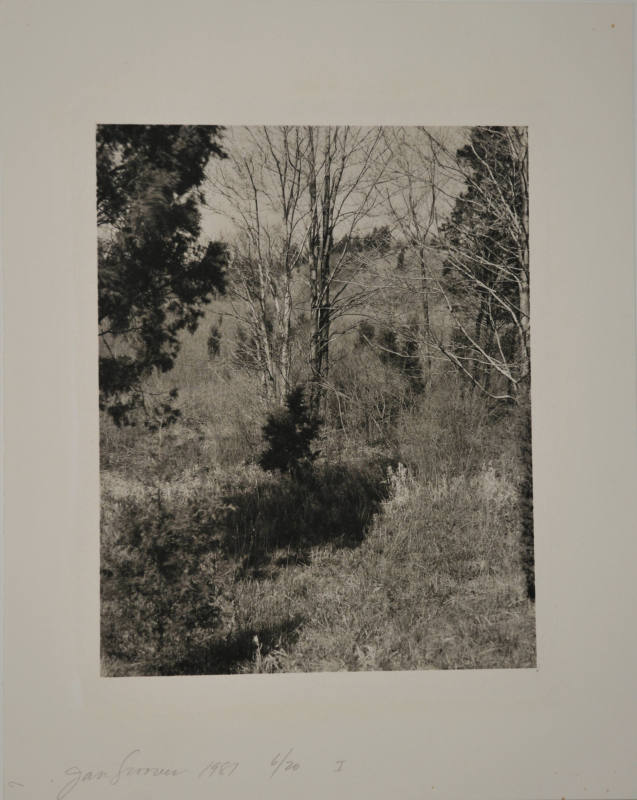 © Jan Groover.  Image courtesy Michael C. Carlos Museum, Emory University.